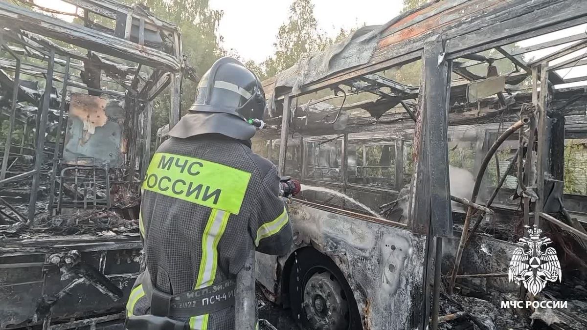 В селе Донское Тамбовской области сгорели 3 автобуса