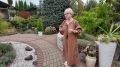 В "Новом утре" Надежда Пяткина рассказала, как вырастить необычный сад и поделилась некоторыми инструментами и советами с начинающими садоводами