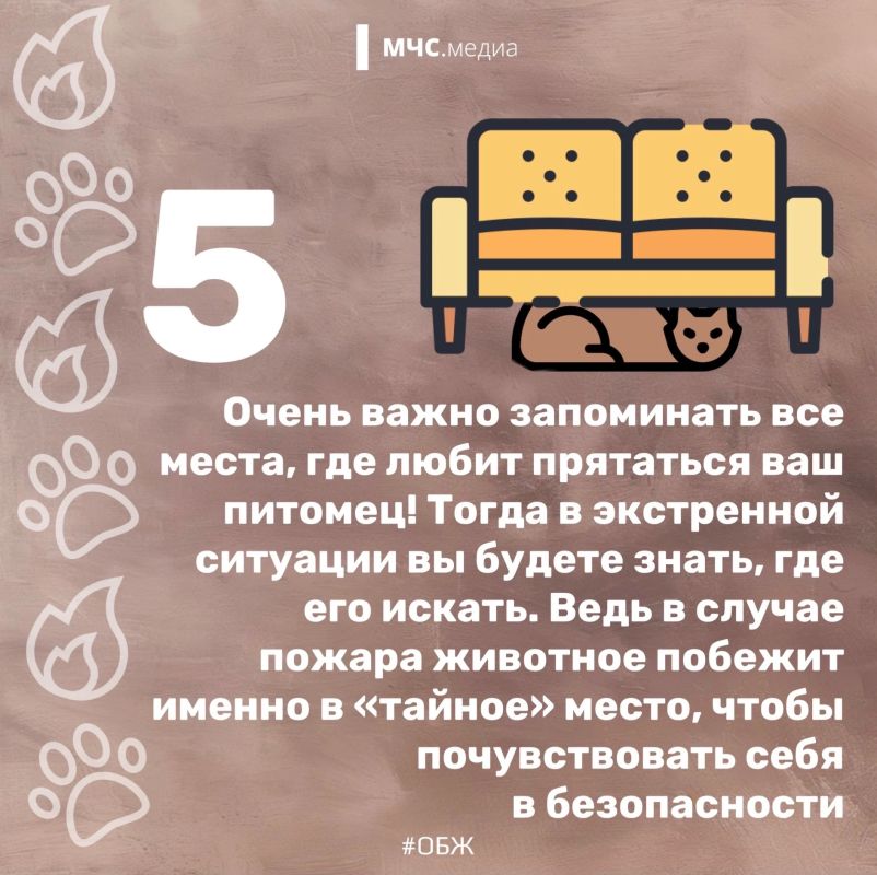 Они не знают о пожарной безопасности Они не знают о пожарной безопасности