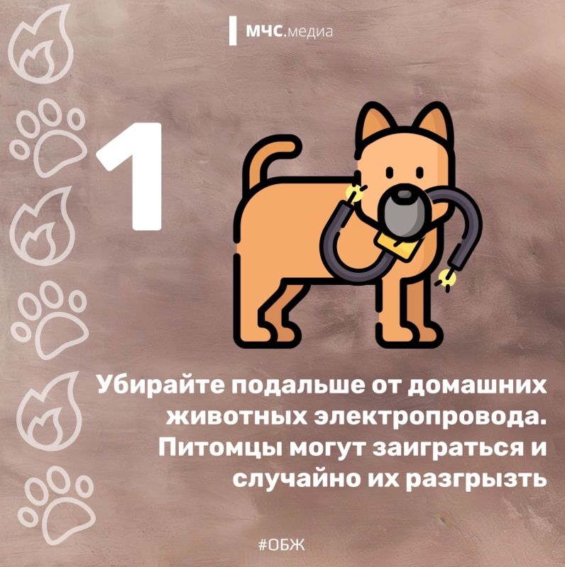 Они не знают о пожарной безопасности Они не знают о пожарной безопасности