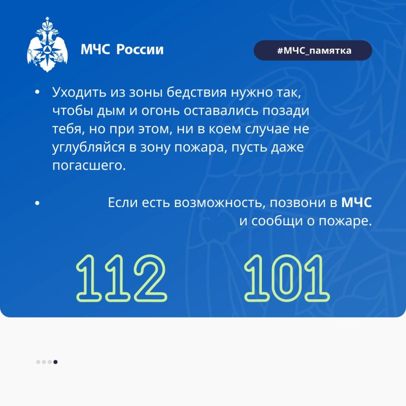 Густой, красивый и опасный! Густой, красивый и опасный!