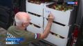 Тамбовщина продолжает поддерживать бойцов Российской армии, которые несут службу в зоне проведения специальной военной операции