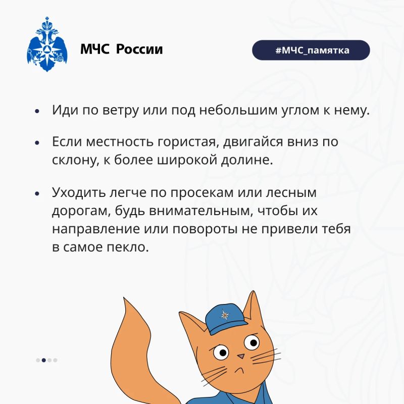 Густой, красивый и опасный! Густой, красивый и опасный!