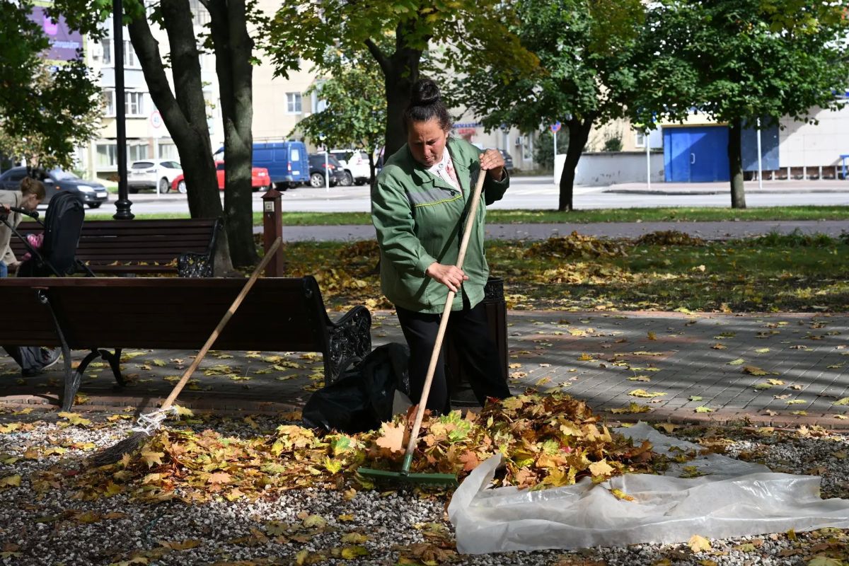 Городские службы очищают парки и скверы от опавшей листвы Городские службы очищают парки и скверы от опавшей листвы