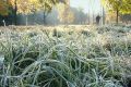 После непродолжительного тепла в Тамбов вернутся холода
