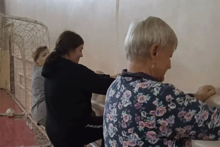 В петровском селе открыли спортивную секцию для пожилых «Порхающие бабочки» В петровском селе открыли спортивную секцию для пожилых «Порхающие бабочки»