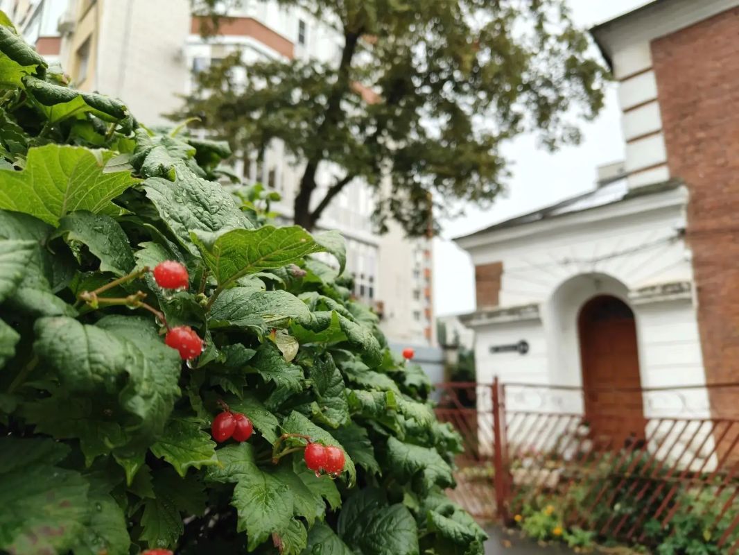 Доброе утро, Тамбов!. Сегодня, 5 октября, понедельник