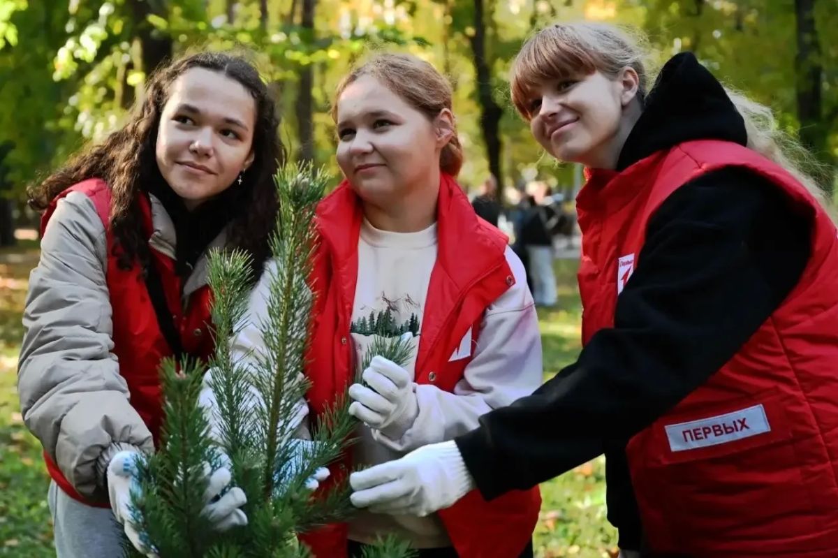 В Пионерском парке Тамбова высадили 20 молодых сосен В Пионерском парке Тамбова высадили 20 молодых сосен