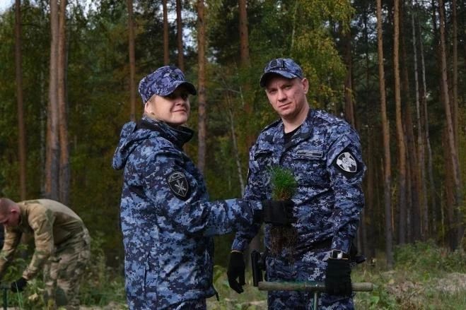 Сегодня, 7 октября, в рамках центрального мероприятия Всероссийской акции «Сохраним лес» на территории Тамбовского лесничества высадили 3 тыс