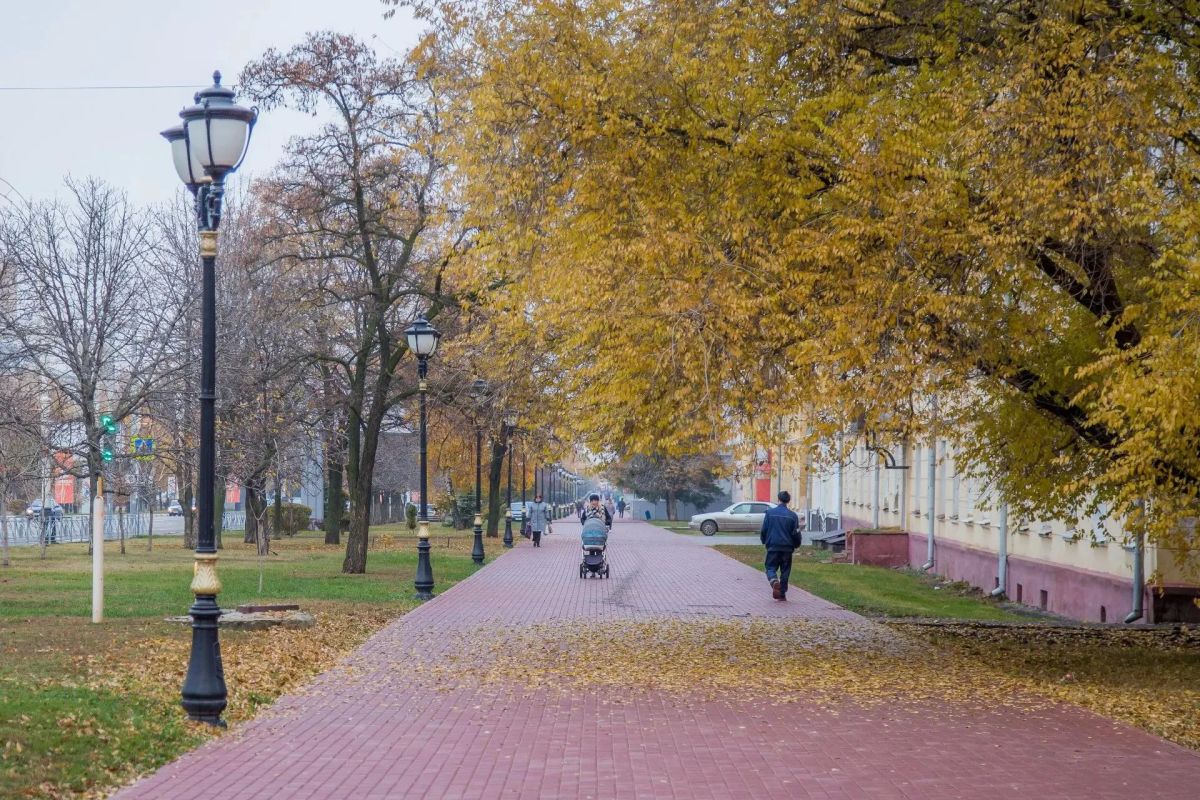 В Тамбове продолжается тёплая осень — по данным тамбовского гидрометцентра, начало второй декады октября порадует горожан высокими для сезона температурами