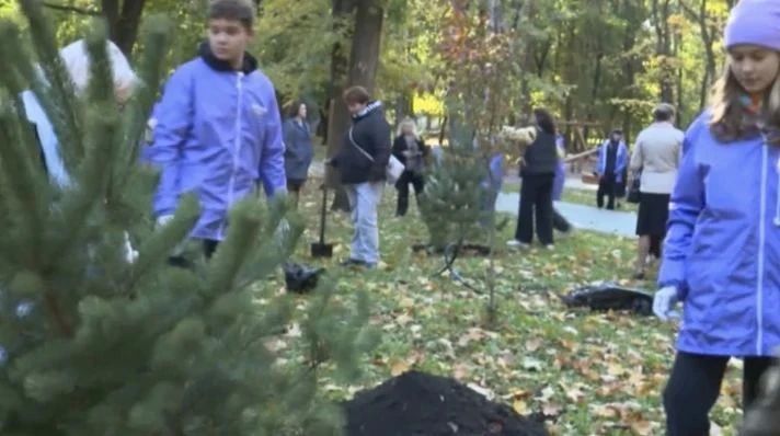 В Тамбове началась осенняя высадка деревьев В Тамбове началась осенняя высадка деревьев