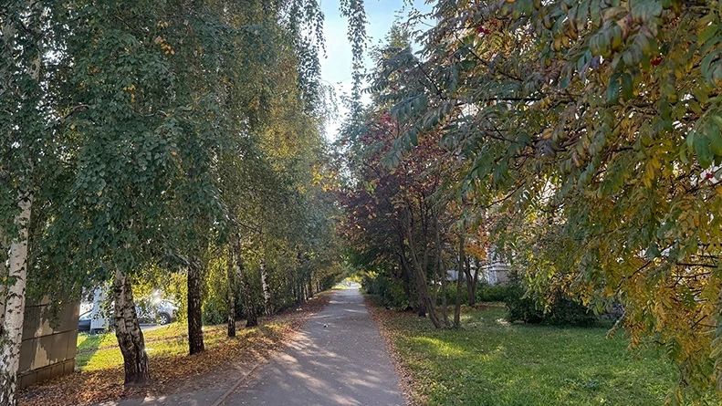 Старое “бабье лето” продолжается: синоптики о погоде в Тамбовской области