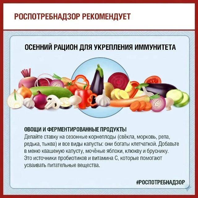 Как выстроить осенний рацион для укрепления иммунитета, рассказали в Роспотребнадзоре Как выстроить осенний рацион для укрепления иммунитета, рассказали в Роспотребнадзоре