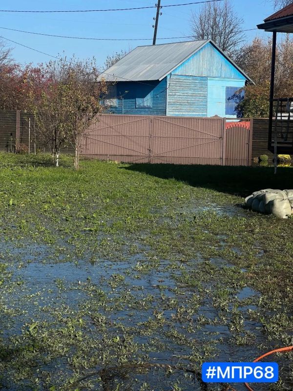В Тамбове проверяют качество почвы на дачных участках, затопленных канализационными стоками В Тамбове проверяют качество почвы на дачных участках, затопленных канализационными стоками