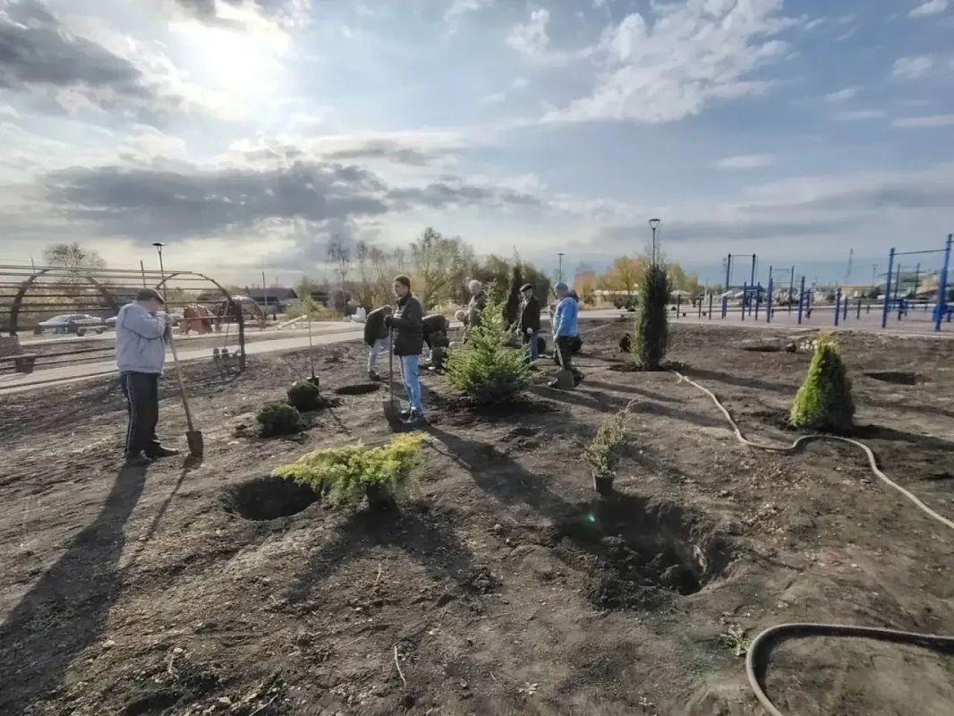 На территории семейного парка-набережной в Петровском округе высадили более 120 саженцев разнообразных деревьев, кустарников и многолетних растений