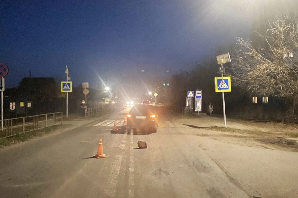 Под Тамбовом пожилой водитель сбил школьницу на пешеходном переходе