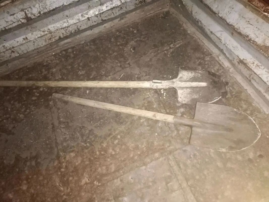 В Тамбовском округе задержали подозреваемых в краже 750 кг картофеля В Тамбовском округе задержали подозреваемых в краже 750 кг картофеля