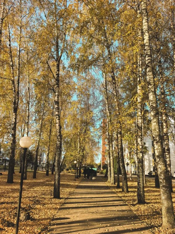 Фото наших подписчиков, присланные в чат-бот редакции Фото наших подписчиков, присланные в чат-бот редакции