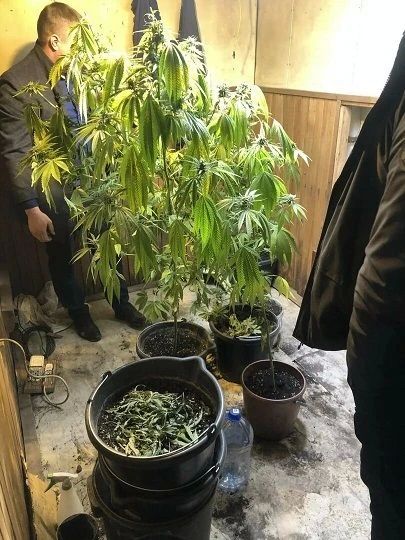 Сотрудники Межмуниципального отдела МВД России «Мичуринский» подвели итоги ежегодной комплексной оперативно-профилактической операции «Мак-2026» Сотрудники Межмуниципального отдела МВД России «Мичуринский» подвели итоги ежегодной комплексной оперативно-профилактической операции «Мак-2026»