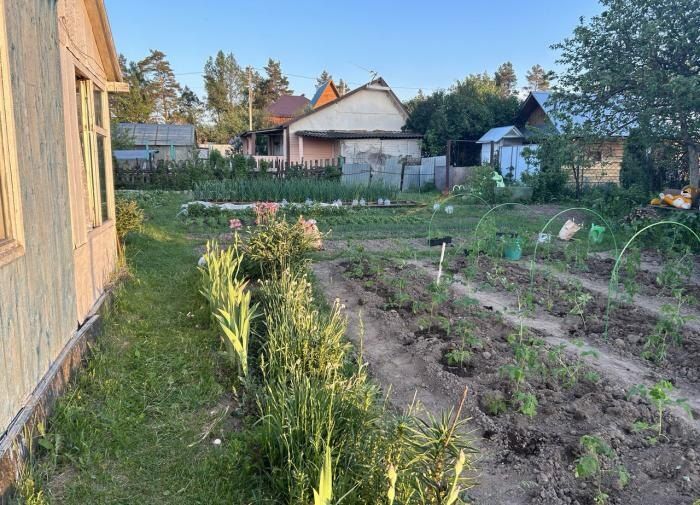 Зимние запасы: как переработка пищевых отходов обеспечивает здоровый сад