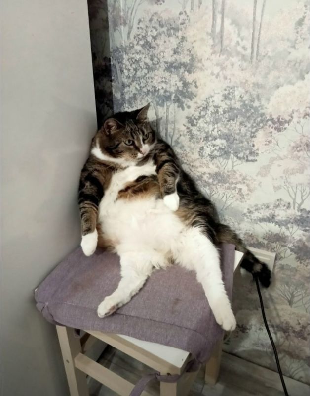 Привет от Моти!