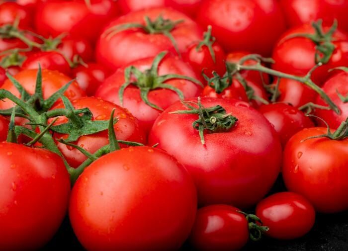 Томат Большая мамочка: почему этот сорт завоевал сердца российских садоводов