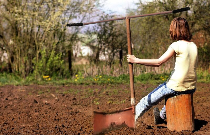 Чудо-лопата: инновационное решение для дачников, экономящее силы и время
