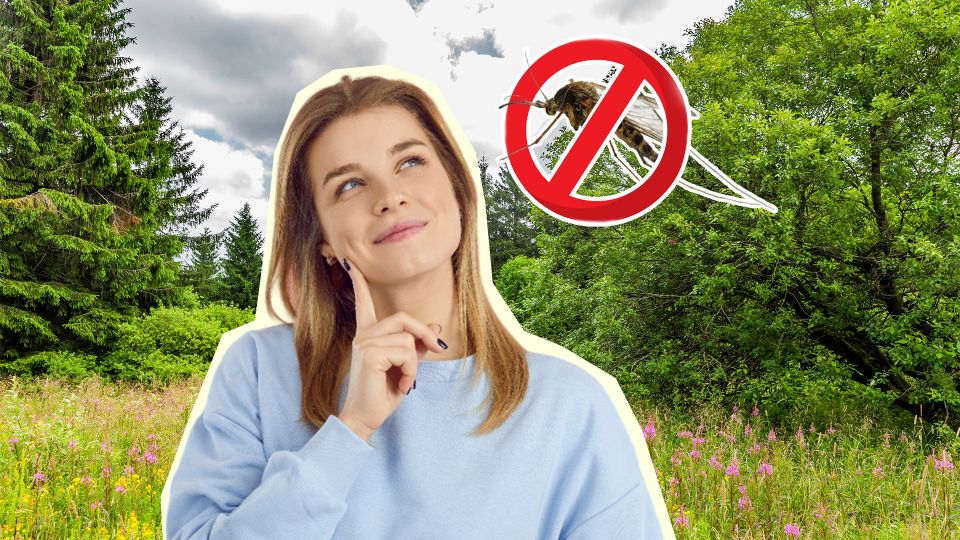 Комары на пикнике к вам не приблизятся: их отпугнут эти народные средства