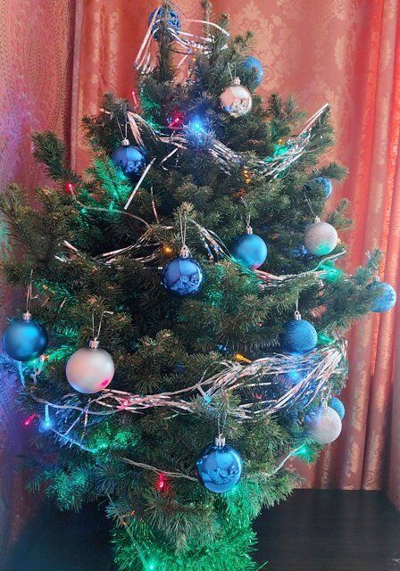 ��� ��������� ����� ���������� ���� ��������