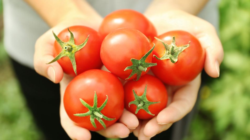 ��� ������������ ��������� ������ �������: ��� ������������� ����� ��� ����������� ������������