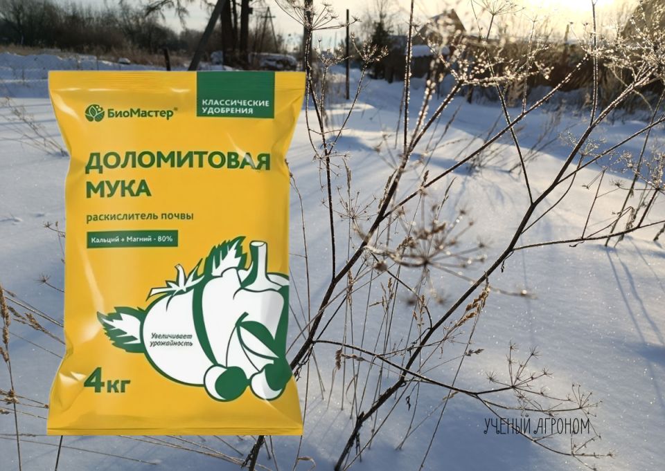 Не упустите шанс: вносите доломитовую муку до снега