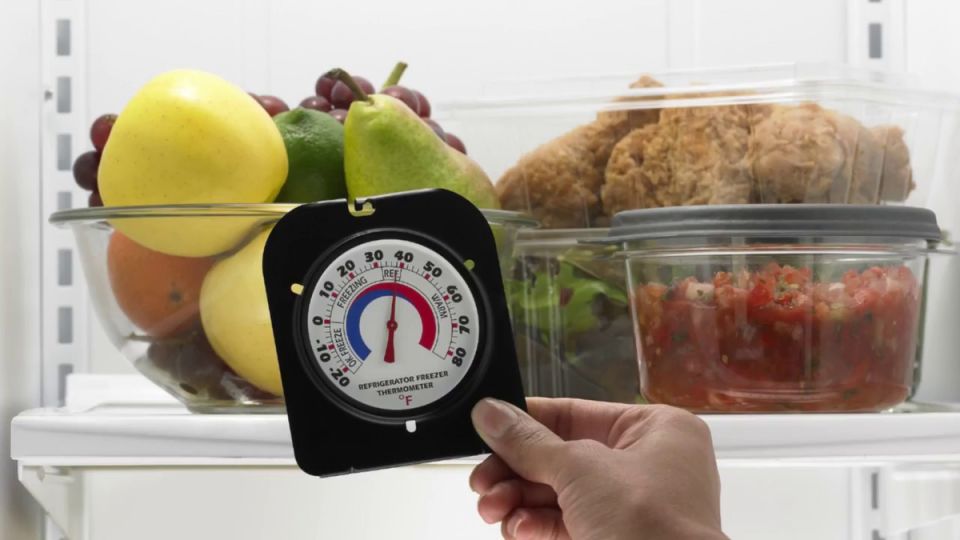 Как испорченные продукты могут угрожать вашему здоровью?