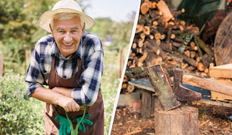 ��� ���������� ��������������� ������� ����� ������� �������� �� ����