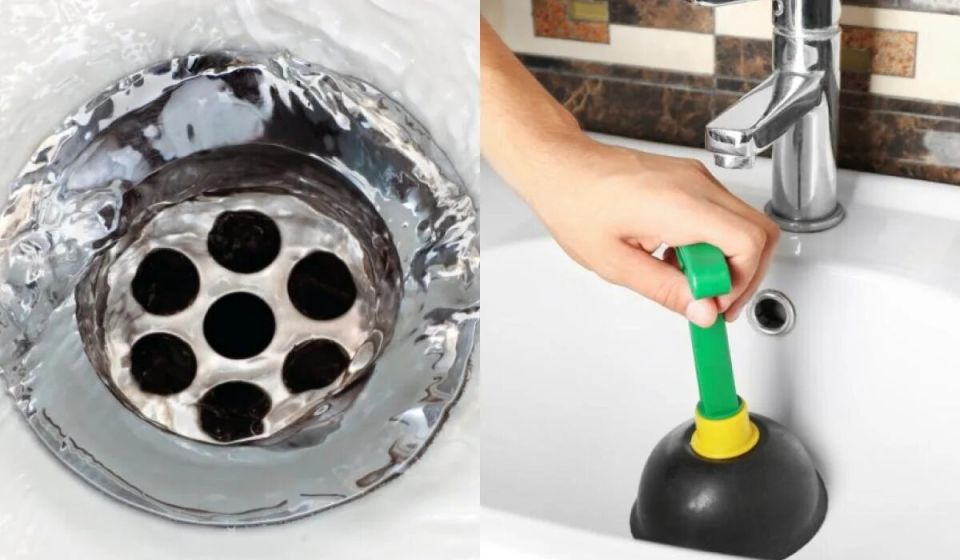 ������ ����: ��� ������ �������� ����� � ������� ���������� ����