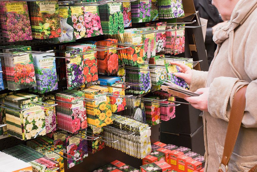 ��� ������� ��������� ������ ��� ������ ������� � 2026 ����