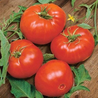 ����� ������: ��������� ����� ��� ������ �������