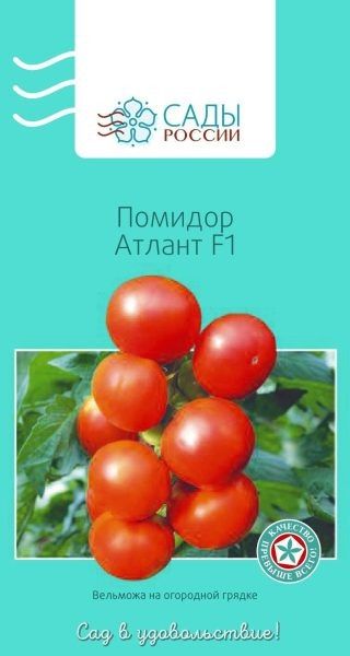 ����� ������: ��������� ����� ��� ������ ������� � 2026 ����