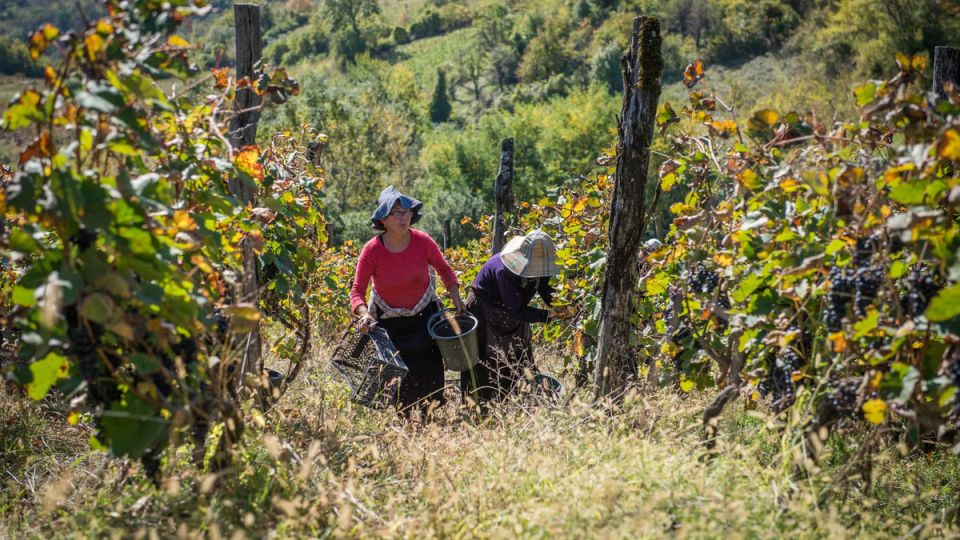 ���� ������ ��������� � ���� �������� � ������ �������