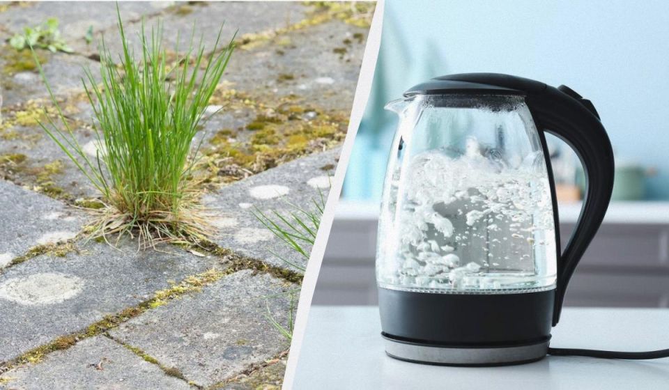 ��� ���������� �� �������� ����� ������� � ������� ���������� ��������