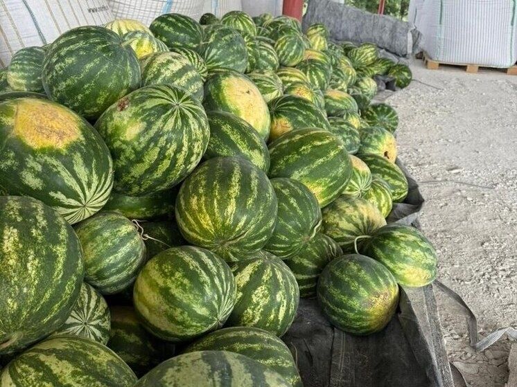 � ��������� ������� ������ ������ �������: ����� ��� ��� �������� ��������� ���������