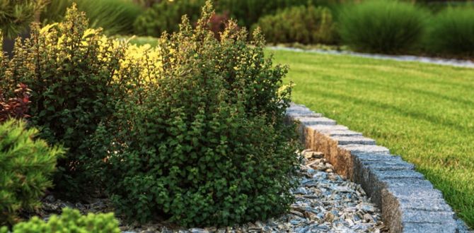 ���������� ���� ��� ������ ����: ������� ������� ��� ��������� ���������