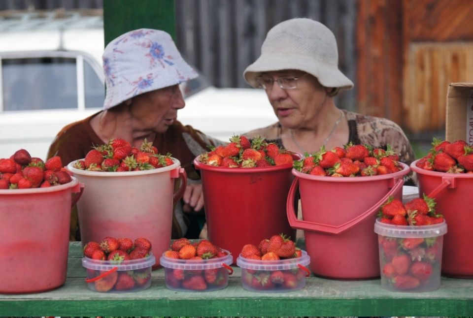 ������� �����: ����� �� ��������� ��������� �� ��������� ������?