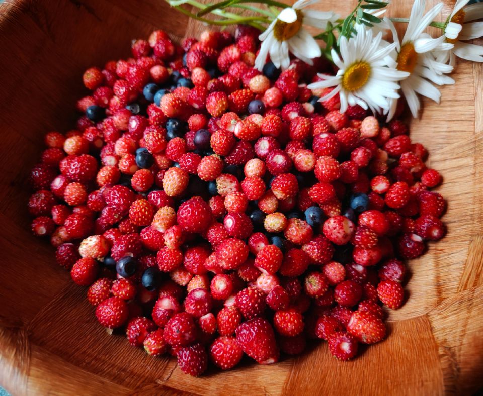 ��������� ���� �� ����: ��������� ���� � ��������� ������ ��������