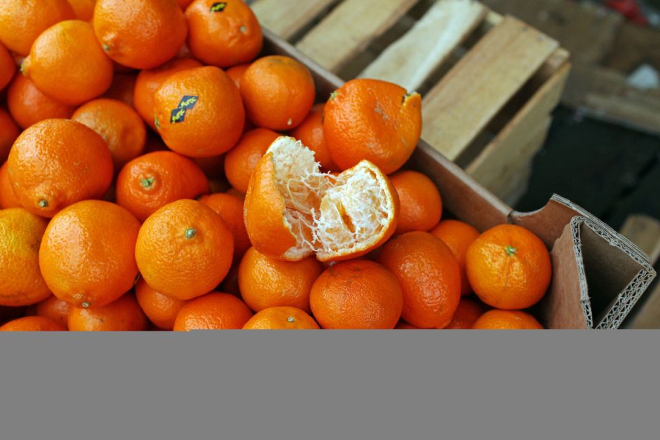 ��� ������� ��������� ��������� � ������ ����: ������ �� �����-���������