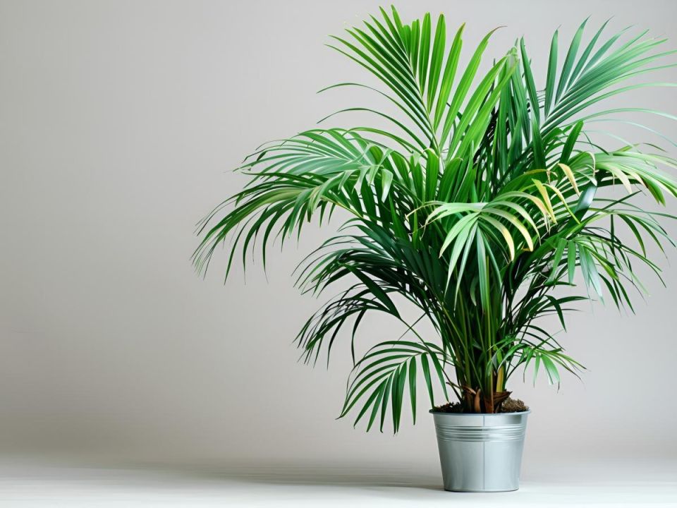 ����� � ���������: �������� ������ � ����� �������