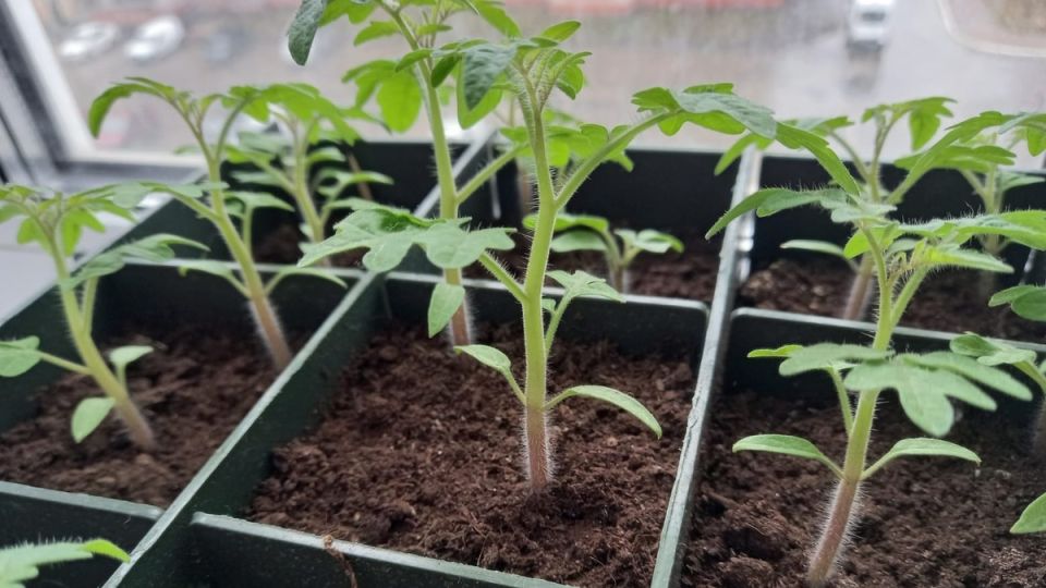 �������� ������ ��� �������: ������� ������ � ������� �������� �� ������� ������