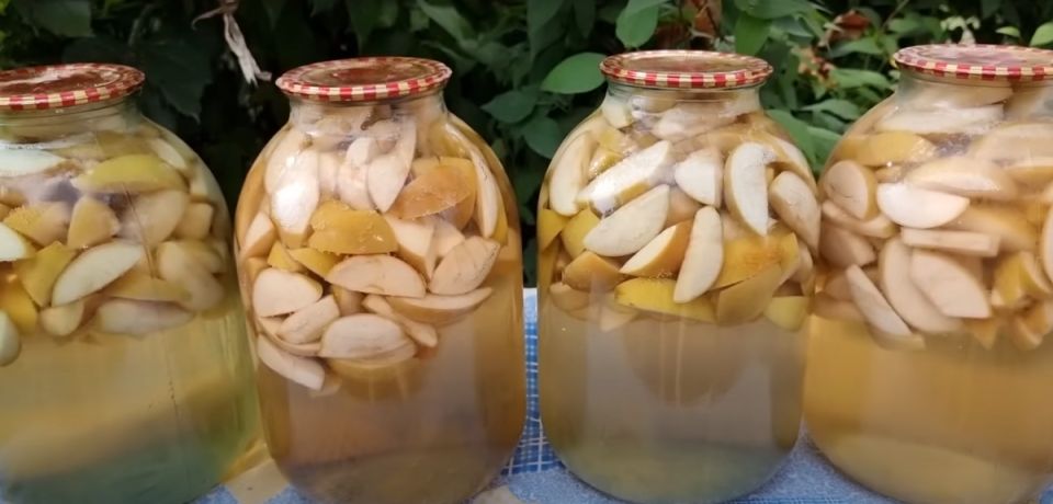 ��� ������������, ��� � �������: ������� ������ ������� �������� ������ �� ����