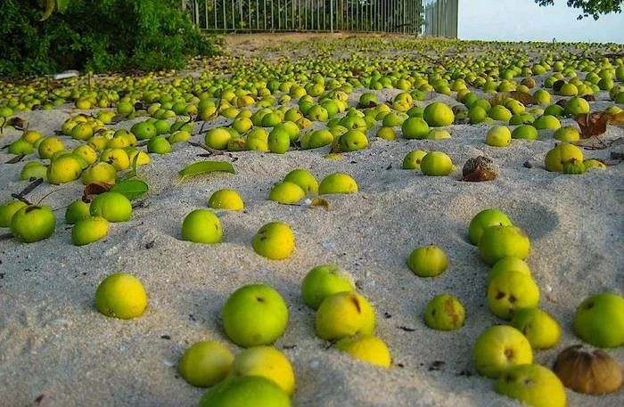 ����������: ������ � ������� �����, ������� ��������� �����