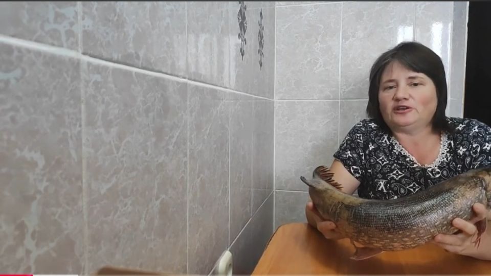 ������ ������ �������: ������� ������ � �����