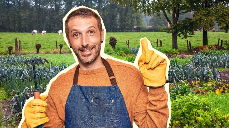 � ������� �������� ������ ������ ����: ������� ��������� �������� ��� ������ � ����